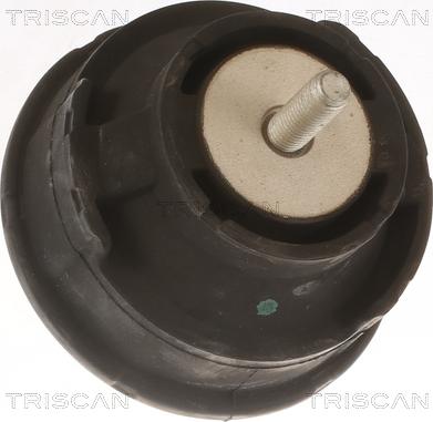 Triscan 8505 11100 - Подушка, опора, подвеска двигателя autospares.lv