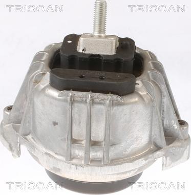 Triscan 8505 11103 - Подушка, опора, подвеска двигателя autospares.lv