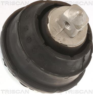 Triscan 8505 11102 - Подушка, опора, подвеска двигателя autospares.lv