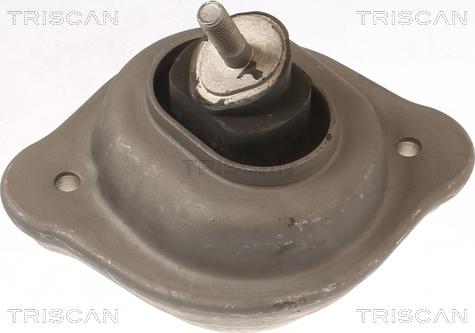 Triscan 8505 11119 - Подушка, опора, подвеска двигателя autospares.lv