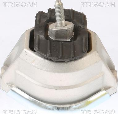 Triscan 8505 11115 - Подушка, опора, подвеска двигателя autospares.lv