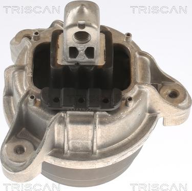 Triscan 8505 11118 - Подушка, опора, подвеска двигателя autospares.lv