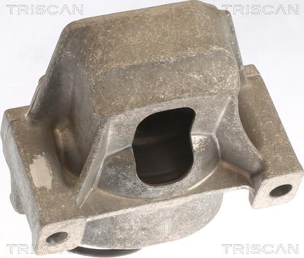 Triscan 8505 29196 - Подушка, опора, подвеска двигателя autospares.lv