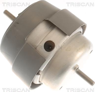 Triscan 8505 29169 - Подушка, опора, подвеска двигателя autospares.lv