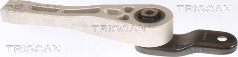 Triscan 8505 29109 - Подушка, опора, подвеска двигателя autospares.lv