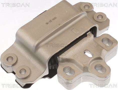 Triscan 8505 29116 - Подушка, опора, подвеска двигателя autospares.lv