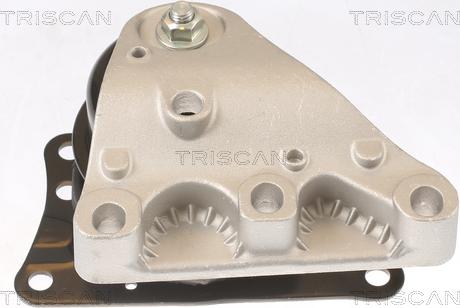 Triscan 8505 29110 - Подушка, опора, подвеска двигателя autospares.lv