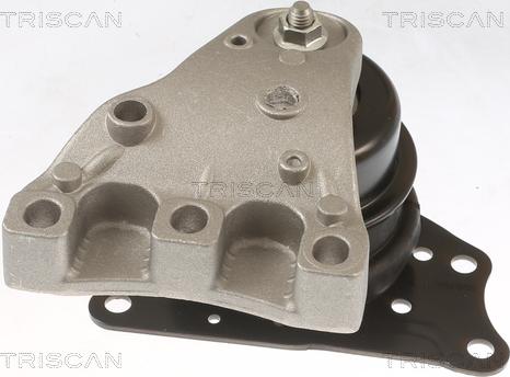 Triscan 8505 29113 - Подушка, опора, подвеска двигателя autospares.lv