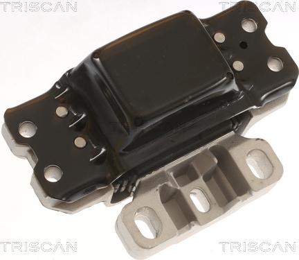 Triscan 8505 29189 - Подушка, опора, подвеска двигателя autospares.lv