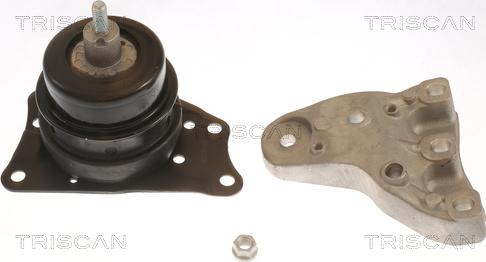 Triscan 8505 29185 - Подушка, опора, подвеска двигателя autospares.lv