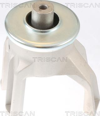 Triscan 8505 29187 - Подушка, опора, подвеска двигателя autospares.lv
