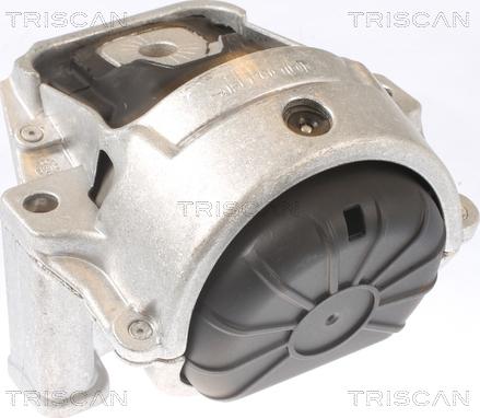 Triscan 8505 29130 - Подушка, опора, подвеска двигателя autospares.lv