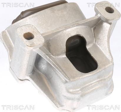 Triscan 8505 29130 - Подушка, опора, подвеска двигателя autospares.lv