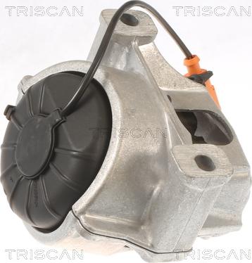 Triscan 8505 29133 - Подушка, опора, подвеска двигателя autospares.lv