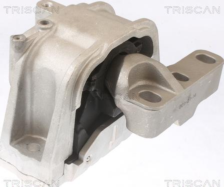 Triscan 8505 29124 - Подушка, опора, подвеска двигателя autospares.lv
