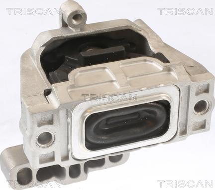 Triscan 8505 29124 - Подушка, опора, подвеска двигателя autospares.lv