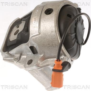 Triscan 8505 29178 - Подушка, опора, подвеска двигателя autospares.lv