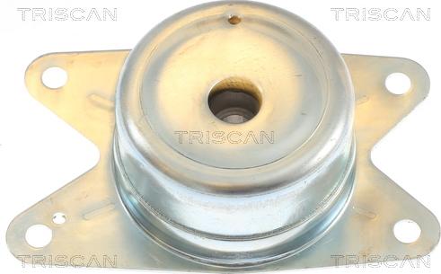 Triscan 8505 24105 - Подушка, опора, подвеска двигателя autospares.lv