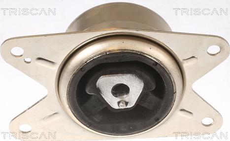 Triscan 8505 24111 - Подушка, опора, подвеска двигателя autospares.lv