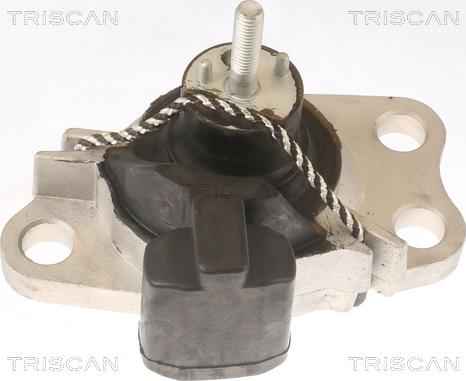 Triscan 8505 25100 - Подушка, опора, подвеска двигателя autospares.lv