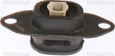 Triscan 8505 25116 - Подушка, опора, подвеска двигателя autospares.lv