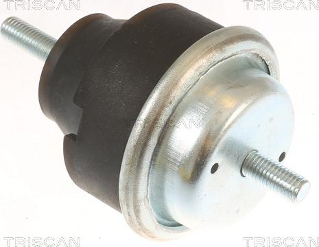 Triscan 8505 28106 - Подушка, опора, подвеска двигателя autospares.lv