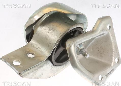Triscan 8505 23100 - Подушка, опора, подвеска двигателя autospares.lv