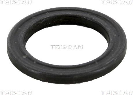 Triscan 8500 10905 - Подшипник качения, опора стойки амортизатора autospares.lv