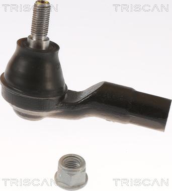 Triscan 8500 29181 - Наконечник рулевой тяги, шарнир autospares.lv