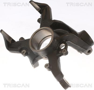 Triscan 8500 29703 - Поворотный кулак, подвеска колеса autospares.lv
