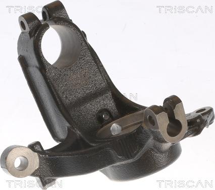 Triscan 8500 28703 - Поворотный кулак, подвеска колеса autospares.lv