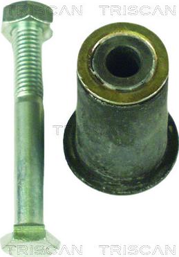 Triscan 8500 23405 - Маятниковый рычаг autospares.lv