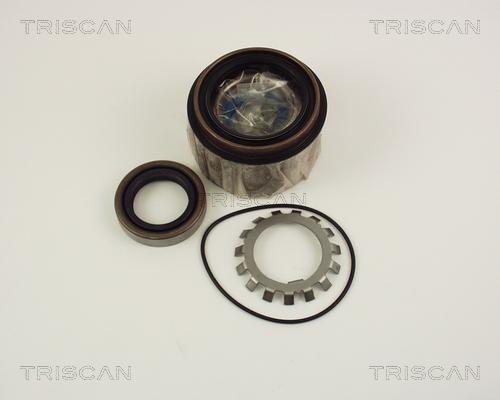 Triscan 8530 10251 - Подшипник ступицы колеса, комплект autospares.lv