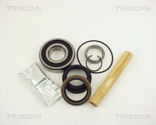 Triscan 8530 10229 - Подшипник ступицы колеса, комплект autospares.lv