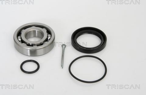 Triscan 8530 29204 - Подшипник ступицы колеса, комплект autospares.lv