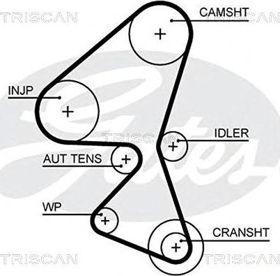 Triscan 8645 5657xs - Зубчатый ремень ГРМ autospares.lv