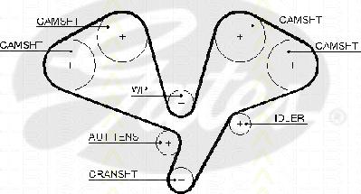 Triscan 8645 5611xs - Зубчатый ремень ГРМ autospares.lv