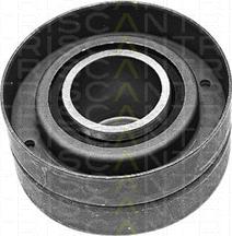 Triscan 8646 10213 - Направляющий ролик, зубчатый ремень ГРМ autospares.lv