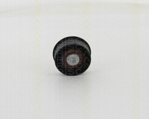 Triscan 8646 24205 - Направляющий ролик, зубчатый ремень ГРМ autospares.lv