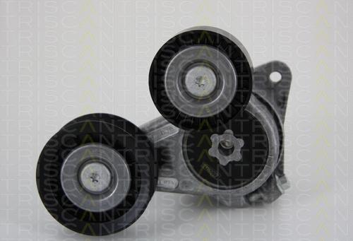 Triscan 8641 163016 - Натяжитель, поликлиновый ремень autospares.lv