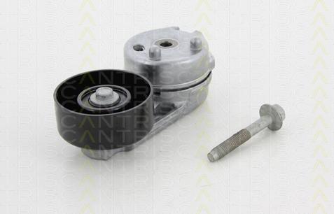 Triscan 8641 102036 - Натяжитель, поликлиновый ремень autospares.lv