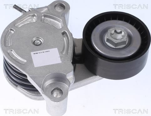 Triscan 8641 113041 - Натяжитель, поликлиновый ремень autospares.lv