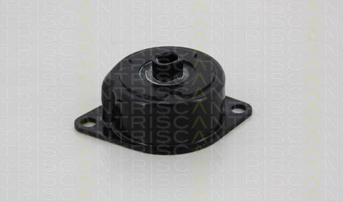 Triscan 8641 293040 - Натяжитель, поликлиновый ремень autospares.lv