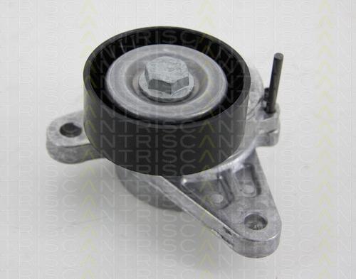 Triscan 8641 293048 - Натяжитель, поликлиновый ремень autospares.lv