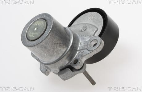 Triscan 8641 293055 - Натяжитель, поликлиновый ремень autospares.lv