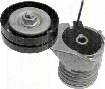 Triscan 8641 293002 - Натяжитель, поликлиновый ремень autospares.lv