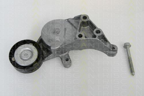 Triscan 8641 293014 - Натяжитель, поликлиновый ремень autospares.lv