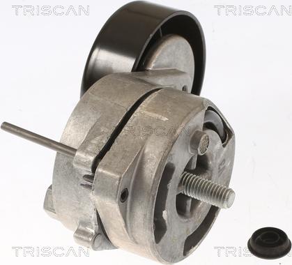 Triscan 8641 293024 - Натяжитель, поликлиновый ремень autospares.lv