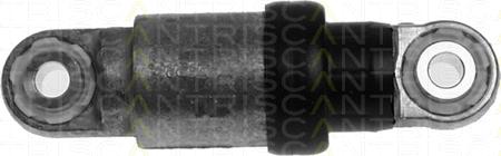 Triscan 8641 243008 - Виброгаситель, поликлиновый ремень autospares.lv