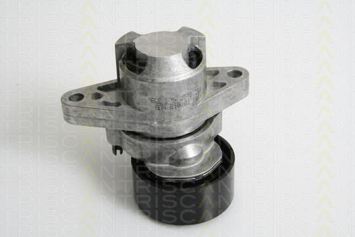 Triscan 8641 253008 - Натяжитель, поликлиновый ремень autospares.lv